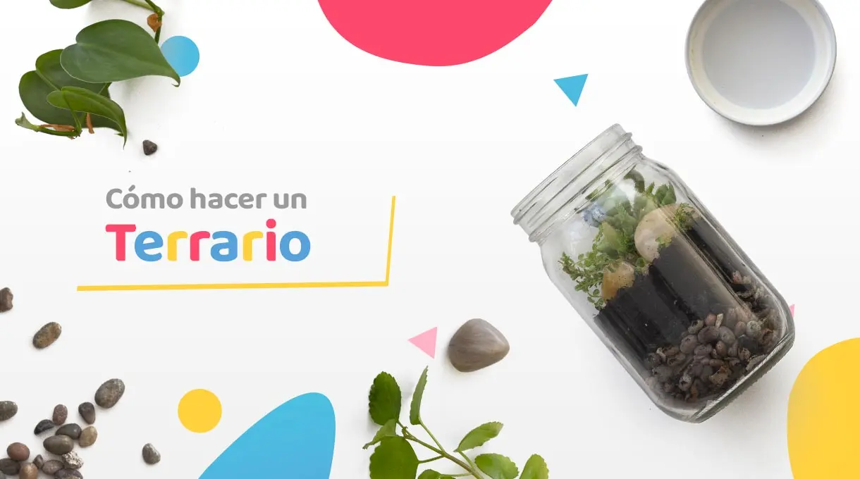 plantas en frascos de vidrio - Cómo hacer un terrario en un frasco paso a paso
