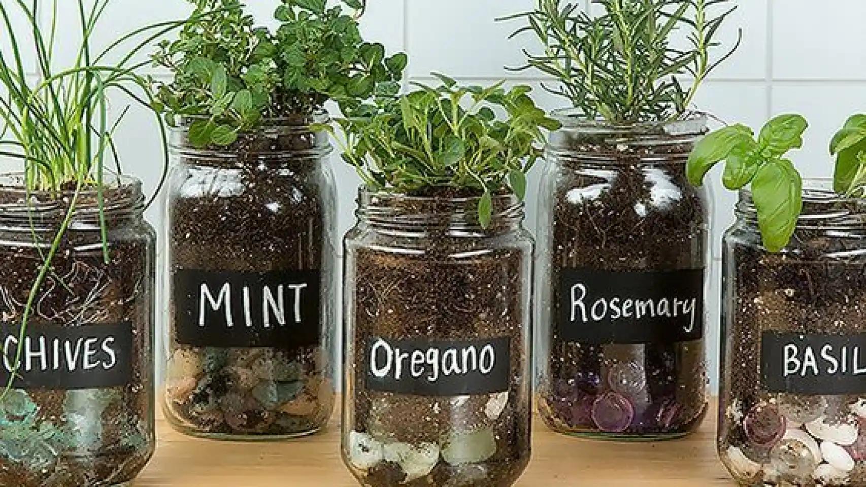 Reutilizar envases de vidrio: una forma sostenible de reducir residuos - Cómo podemos reutilizar los envases de vidrio reutilizar envases de vidrio - Cómo podemos reutilizar los envases de vidrio