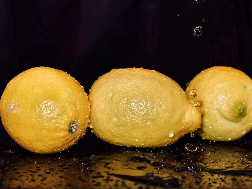 Citric jugo botella de vidrio: una opción natural y saludable - Cómo se conserva el Citric citric jugo botella de vidrio - Cómo se conserva el Citric