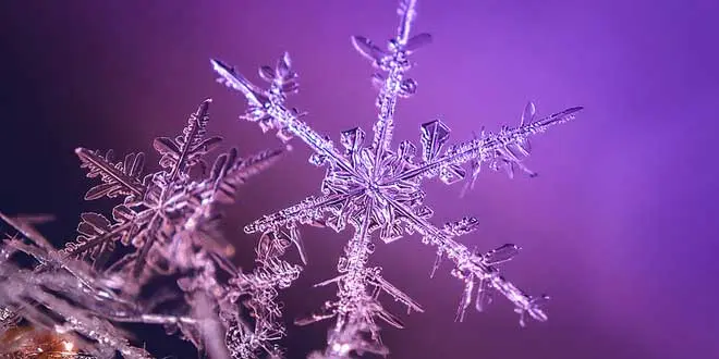 Fotos de cristales de nieve: belleza y ciencia en cada detalle - Cómo se ve un copo de nieve fotos de cristales de nieve - Cómo se ve un copo de nieve