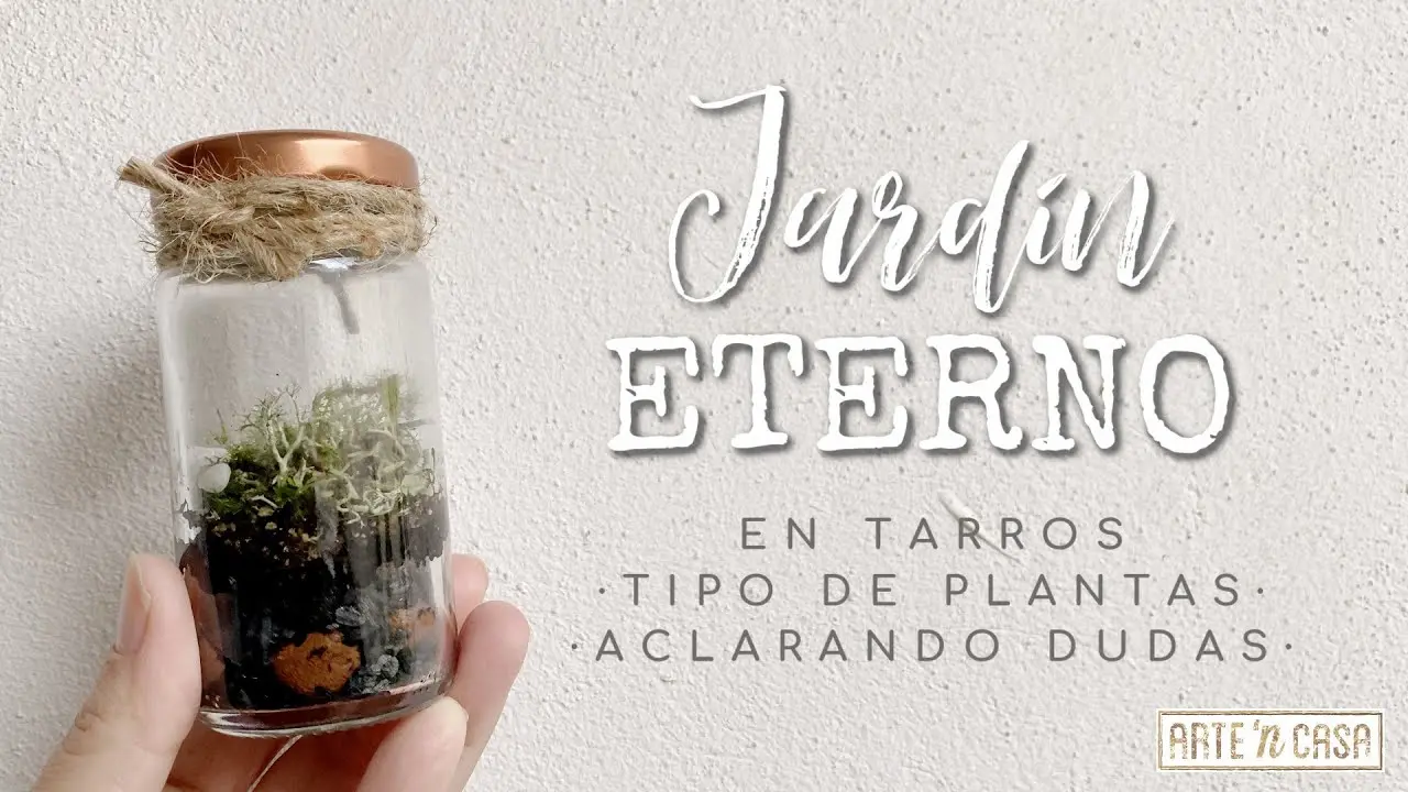 Experimento de la planta en un frasco de vidrio cerrado - Cómo sobrevive una planta dentro de un frasco experimento de la planta en un frasco de vidrio cerrado - Cómo sobrevive una planta dentro de un frasco