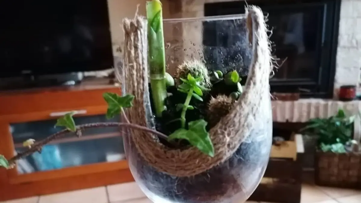 ideas para reciclar vasos de vidrio - Cómo son los vasos de cristal