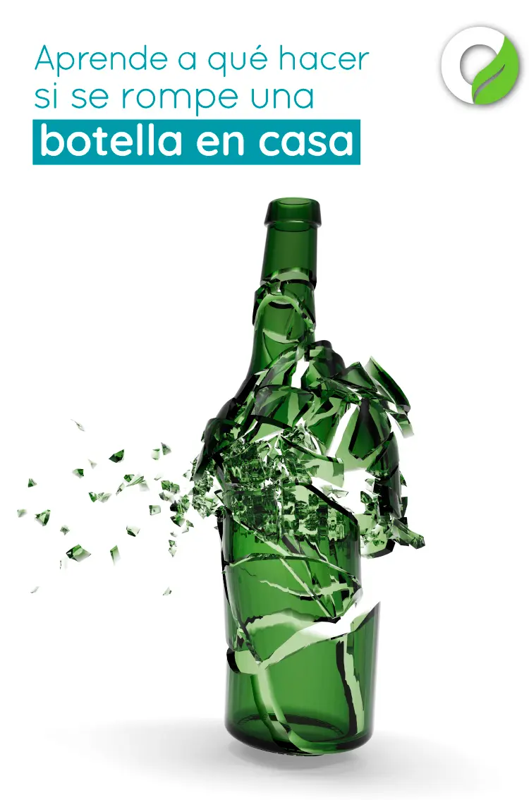 como tirar botellas de vidrio - Cómo tirar vidrio roto a la basura caba