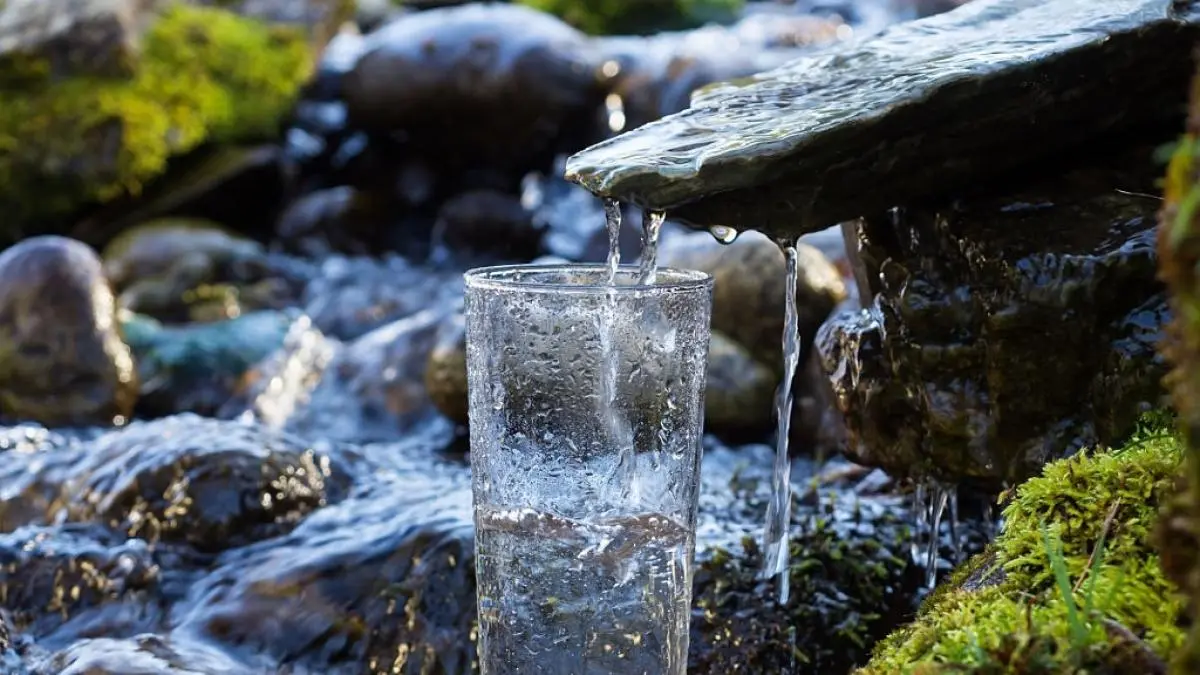 Agua mineral vs. Agua purificada: ¿Cuál es la diferencia? - Cuál es la mejor agua para el consumo humano agua mineral vidrio - Cuál es la mejor agua para el consumo humano