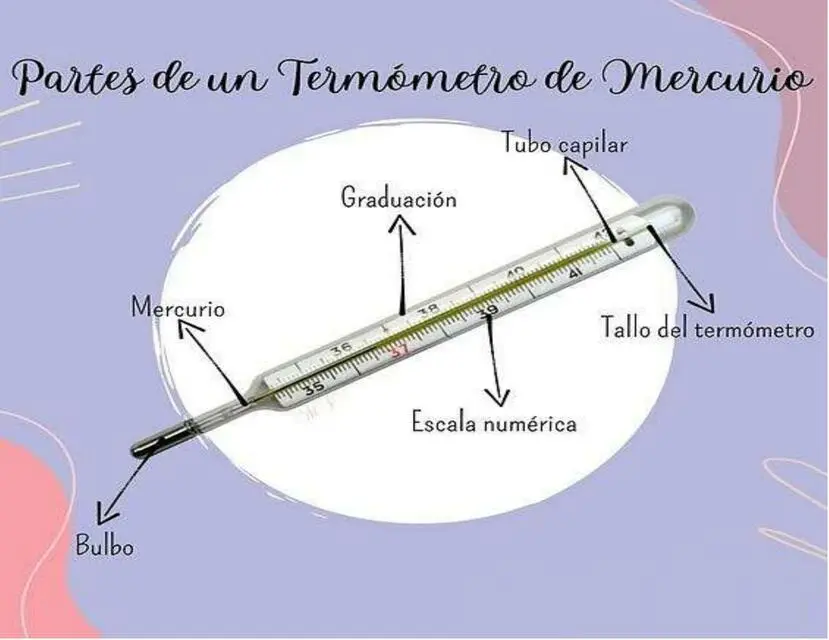 partes de un termometro de vidrio - Cuáles son las partes de un termómetro de vidrio