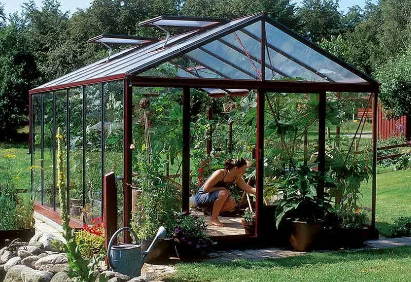 invernaderos de vidrio para jardin - Cuánto cuesta un invernadero pequeño