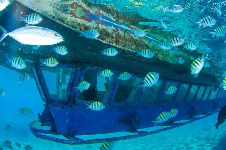 lancha con fondo de cristal - Cuánto cuesta un paseo en lancha en Los Cabos