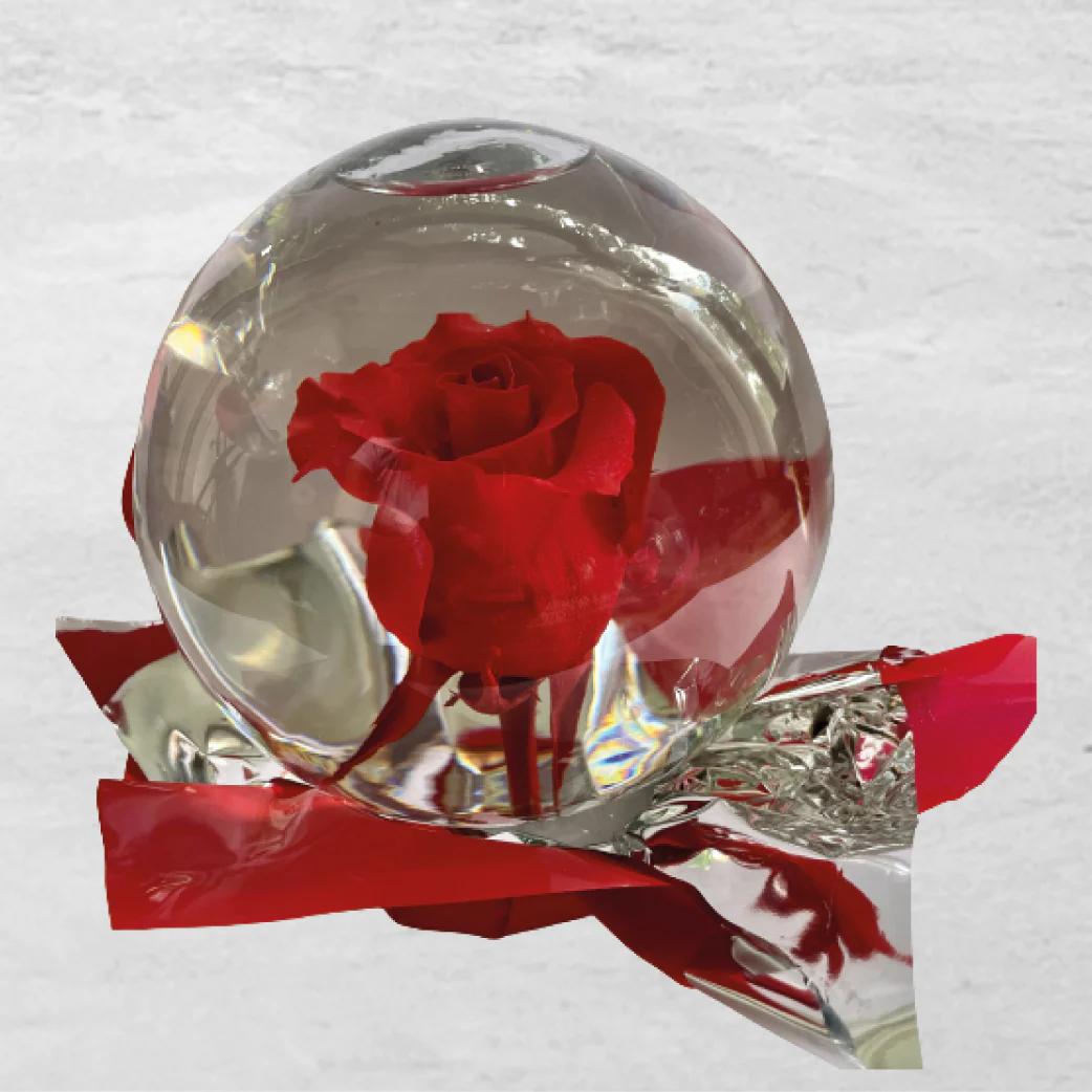 Rosa natural en esfera de cristal: joya eterna