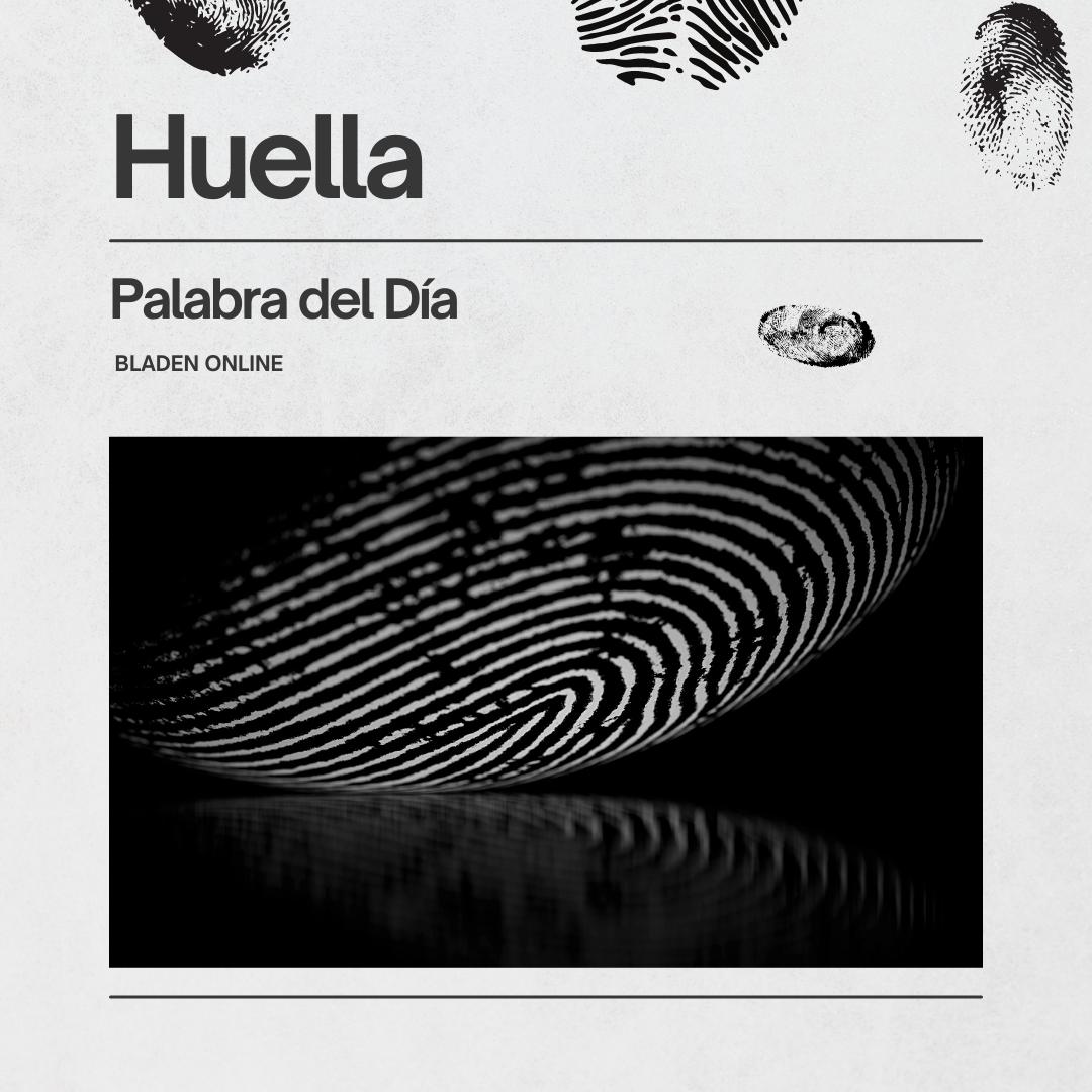 Cuánto dura una huella dactilar en vidrio - Cuánto tiempo puede durar su huella digital en línea cuanto dura una huella digital en un vidrio - Cuánto tiempo puede durar su huella digital en línea