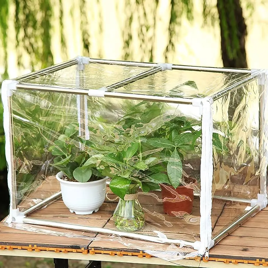 invernaderos de vidrio para jardin - Dónde es mejor poner un invernadero