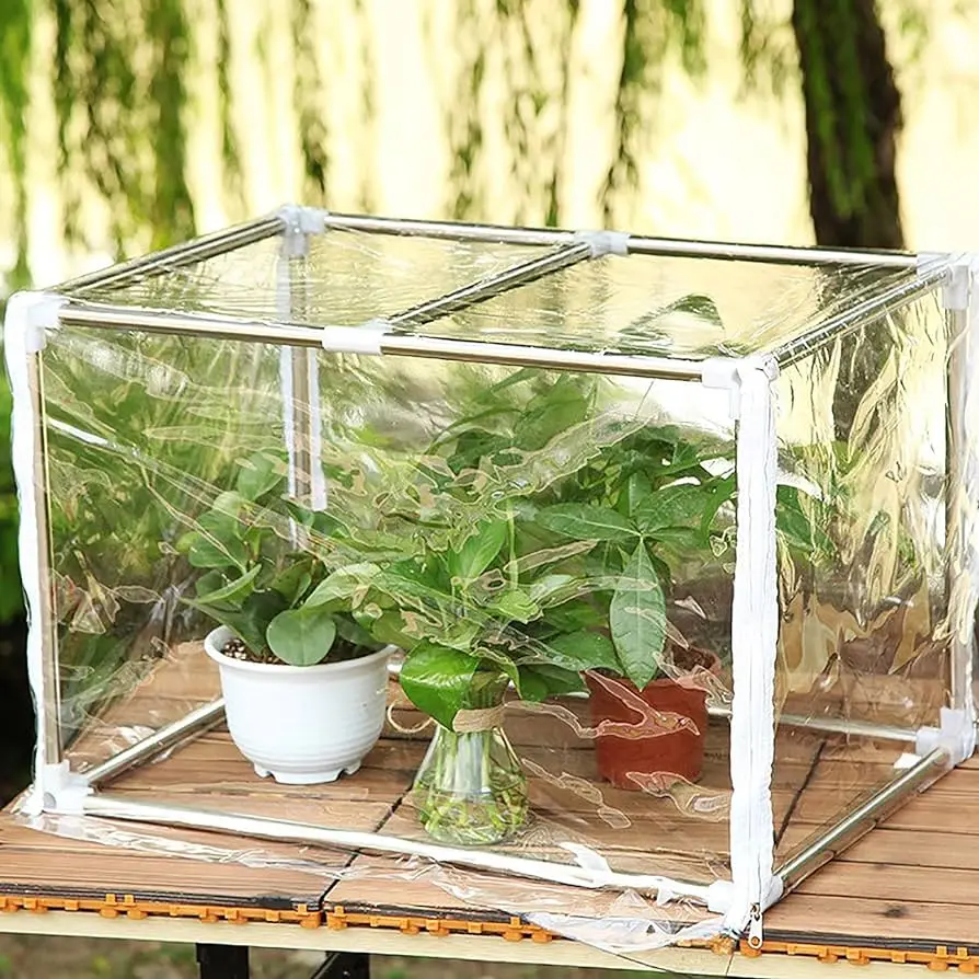 Invernaderos de vidrio para jardín: una solución elegante y funcional - Dónde es mejor poner un invernadero invernaderos de vidrio para jardin - Dónde es mejor poner un invernadero