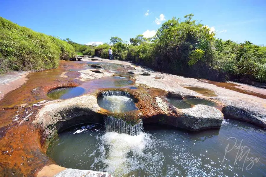 Caño Cristales Santander: Un paraíso natural en Colombia - Dónde queda Caño Cristales Santander caño cristales santander - Dónde queda Caño Cristales Santander
