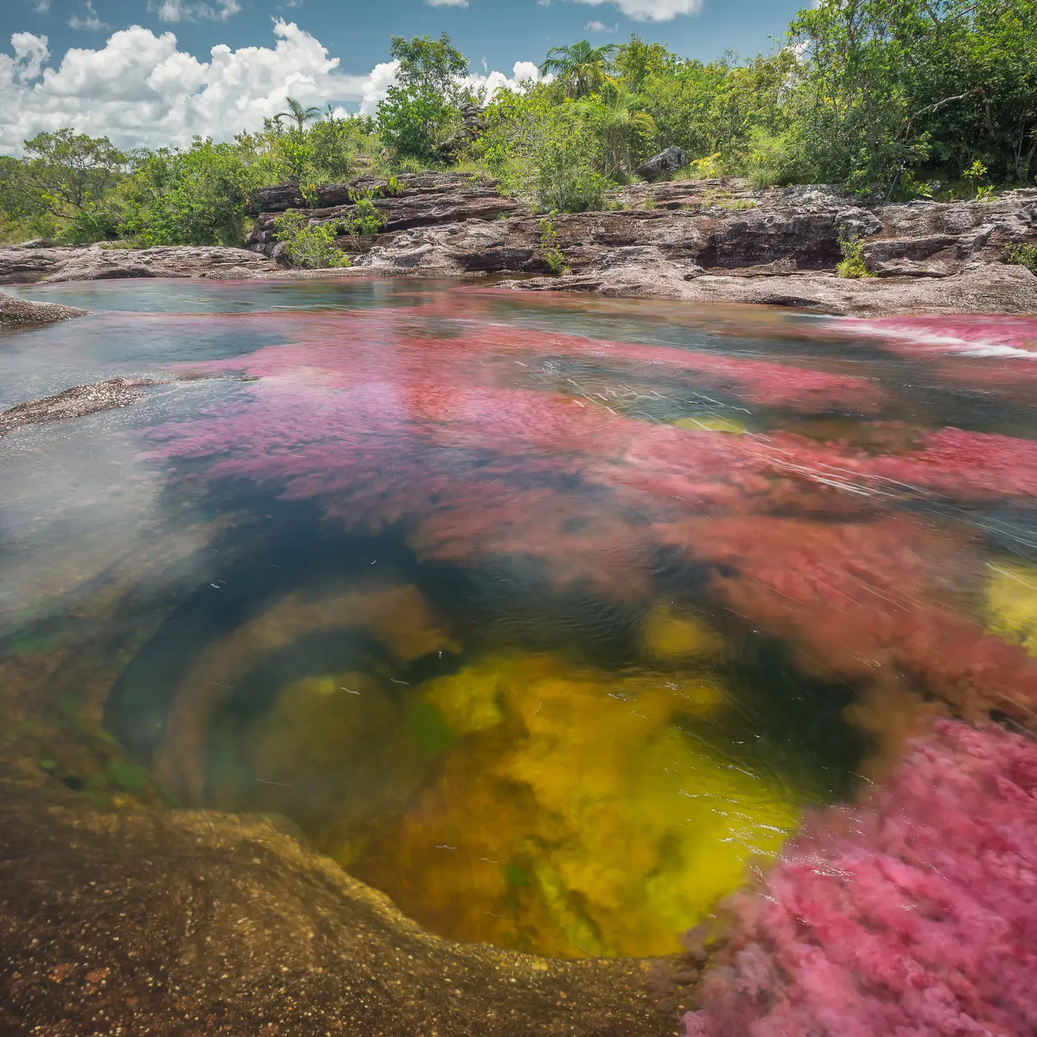El lago de los 7 colores en colombia
