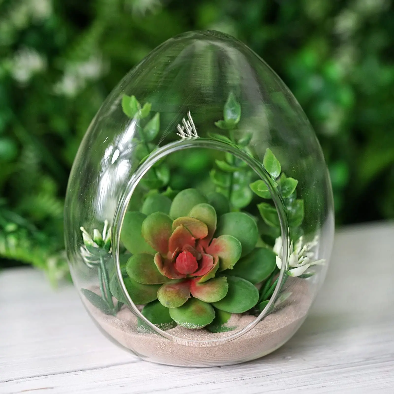 Macetas transparentes de vidrio: la elección perfecta para tus orquídeas - Por qué las orquideas deben estar en macetas transparentes macetas transparentes de vidrio - Por qué las orquideas deben estar en macetas transparentes