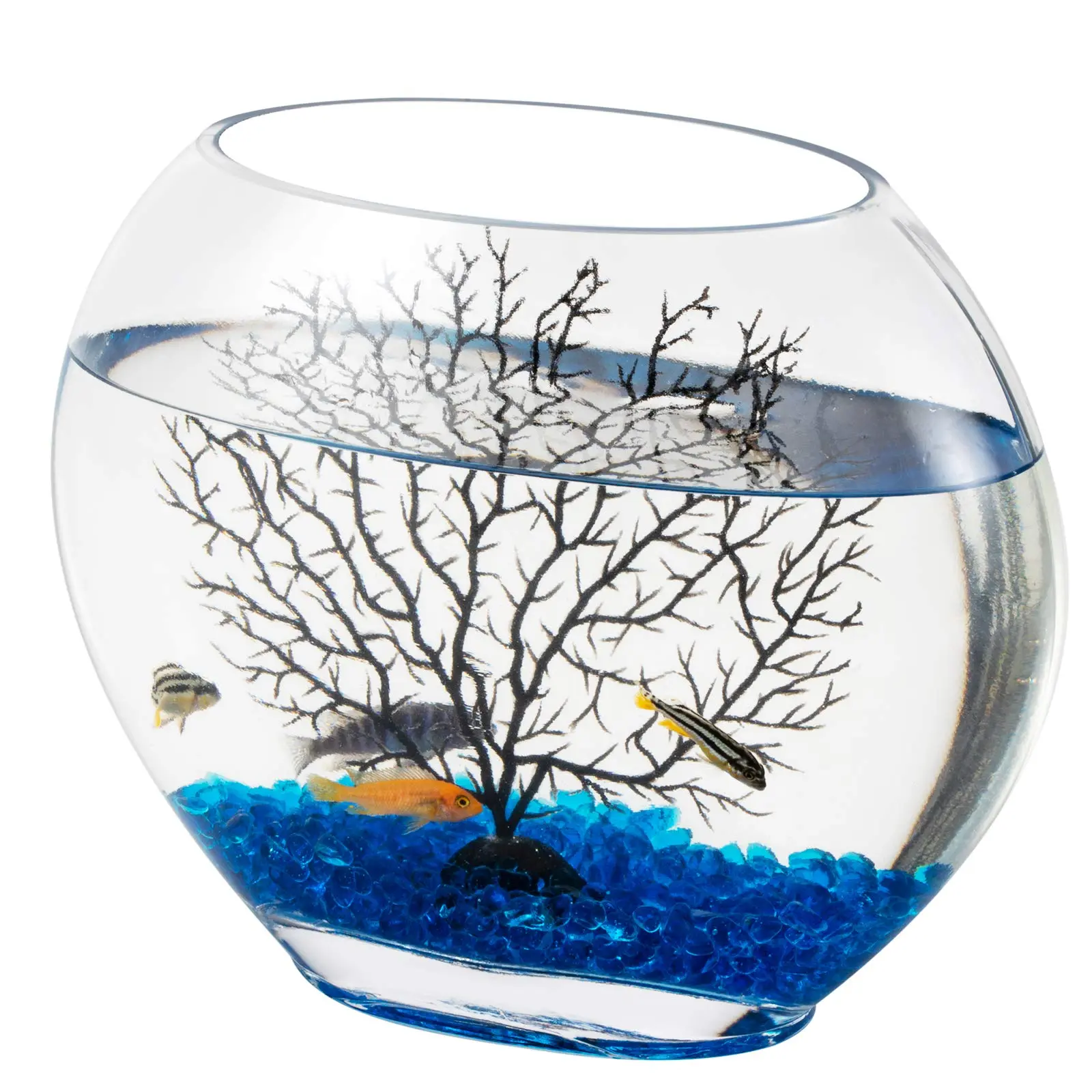 PECERAS DE VIDRIO PEQUEÑAS: UN HOGAR IDEAL PARA TUS PECES - Qué peces pueden vivir en una pecera pequeña peceras de vidrio pequeñas - Qué peces pueden vivir en una pecera pequeña