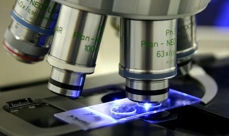 El vidrio donde se pone la muestra en el microscopio: Componentes y funciones - Qué son el cubreobjeto y el portaobjeto vidrio donde se pone muestra microscopio - Qué son el cubreobjeto y el portaobjeto