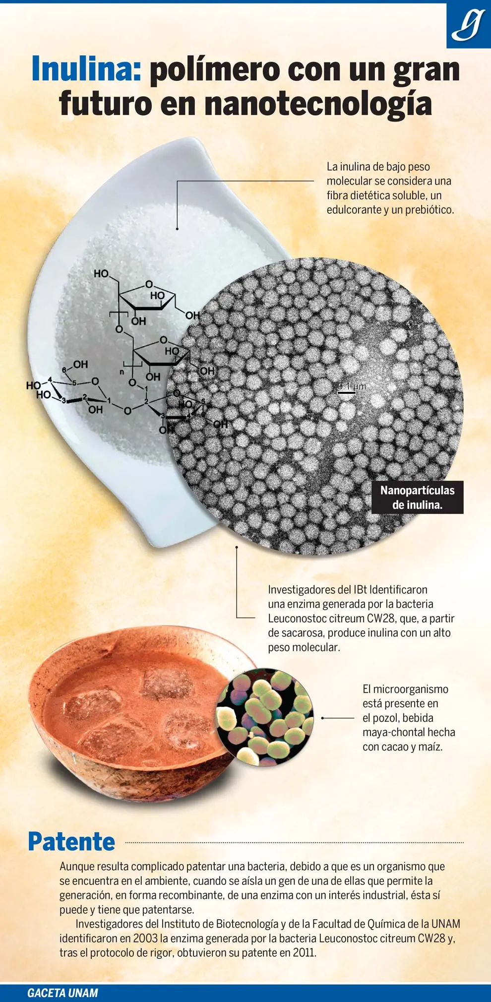 cristales de inulina - Qué tipo de azúcar es la inulina